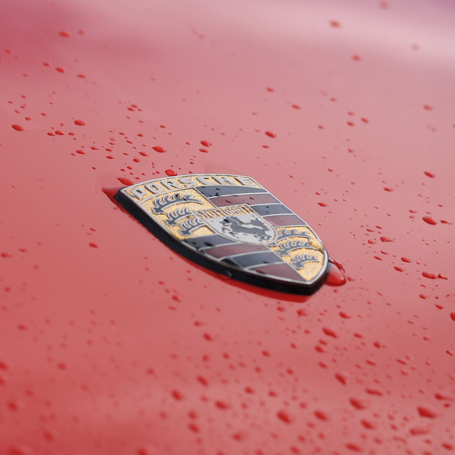 TYPE 911 | PHOTOGRAPHIE